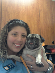 Desiree V., Pet Care Provider in Deerfield Beach, FL with 8 years paid experience