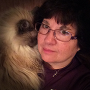 Karla B., Pet Care Provider in Schenectady, NY 12302 with 1 year paid experience