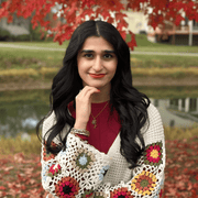 Saghi N., Babysitter in 46785 with 0 years of paid experience