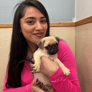 Amber M., Babysitter in Monument, CO 80132 with 4 years of paid experience