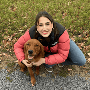 Ellie F., Pet Care Provider in Greenwich, CT with 3 years paid experience