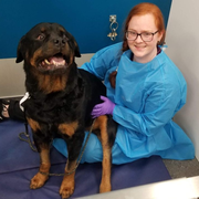 Shauneen O., Pet Care Provider in Monroe, CT 06468 with 2 years paid experience