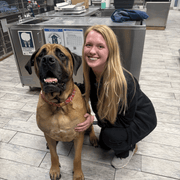Madalyn H., Pet Care Provider in Dawsonville, GA with 5 years paid experience
