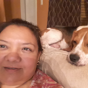 Diana N., Pet Care Provider in San Antonio, TX 78233 with 1 year paid experience
