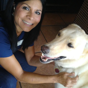 Jennifer A., Pet Care Provider in Altamonte Springs, FL 32701 with 9 years paid experience