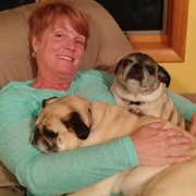 Holly R., Care Companion in Rochester, NY 14616 with 10 years paid experience