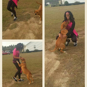 Asia F., Pet Care Provider in Jacksonville, FL with 1 year paid experience
