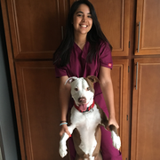 Jessica E. - Fort Collins Babysitter