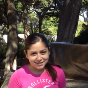 Flor C., Babysitter in Menlo Park, CA with 1 year paid experience