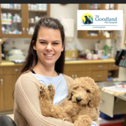 Jessie V., Pet Care Provider in Goleta, CA with 2 years paid experience
