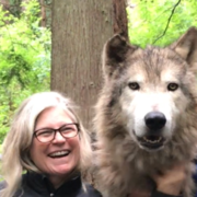 Susan H., Pet Care Provider in Redwood City, CA with 10 years paid experience