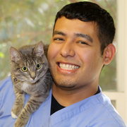 J. B., Pet Care Provider in Houston, TX 77006 with 7 years paid experience