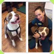 Raya B. - Oceano Pet Care Provider