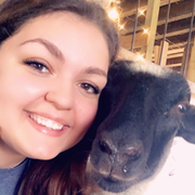 Jessica C., Pet Care Provider in Annapolis, MD 21403 with 6 years paid experience