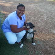 Christinia F., Pet Care Provider in Courtland, MS 38620 with 3 years paid experience