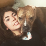 Mariana D., Pet Care Provider in Jersey City, NJ with 5 years paid experience