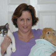 Cindy R., Pet Care Provider in Knightdale, NC 27545 with 25 years paid experience
