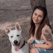 Abigail R., Babysitter in 85326 with 4 years of paid experience