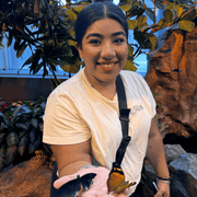 Daniella B., Child Care Provider in 60540 with 2 years of paid experience