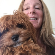 Louise M., Pet Care Provider in Newburyport, MA 01950 with 25 years paid experience