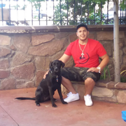 Dominic R., Pet Care Provider in Bullhead City, AZ 86442 with 1 year paid experience