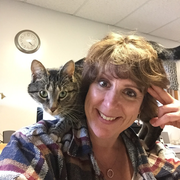 Carolyn V., Pet Care Provider in Bancroft, MI 48414 with 2 years paid experience