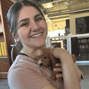 Yasmin U., Pet Care Provider in Boston, MA with 0 years paid experience