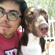 Jose V., Pet Care Provider in West Haven, UT with 2 years paid experience