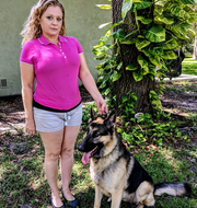 Allison C., Pet Care Provider in Naples, FL 34103 with 20 years paid experience