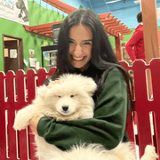 Noor S., Babysitter in Dearborn Heights, MI with 7 years paid experience