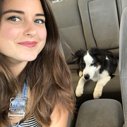 Ashley M., Pet Care Provider in Los Olivos, CA with 10 years paid experience