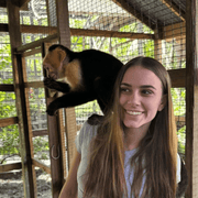 Courtney E., Babysitter in 33837 with 0 years of paid experience