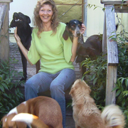 Raye K., Pet Care Provider in Inglis, FL 34449 with 30 years paid experience