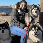Maida S., Pet Care Provider in New York, NY with 5 years paid experience