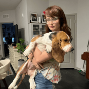Isabella K., Babysitter in Palm Bay, FL with 0 years paid experience