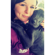 Alyssa Y., Pet Care Provider in Lincoln, IL 62656 with 2 years paid experience