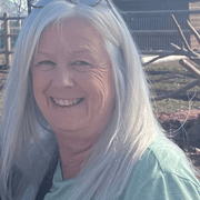 Terri O., Babysitter in 94550 with 40 years of paid experience