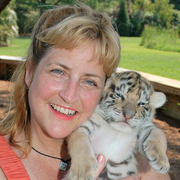 Carla K. - Framingham Babysitter