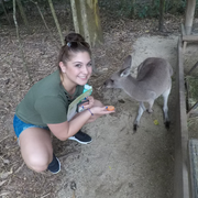 Marissa S. - Cortlandt Manor Babysitter