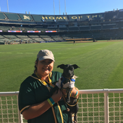 Katelyn S., Pet Care Provider in San Diego, CA with 4 years paid experience