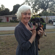Carol (gamin) G., Pet Care Provider in Jacksonville, FL 32246 with 9 years paid experience