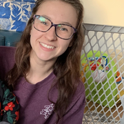 Kaitlyn W., Pet Care Provider in Dowagiac, MI with 15 years paid experience