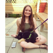 Ariana B. - Mashpee Babysitter