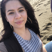 Maria M., Babysitter in 94937 with 5 years of paid experience