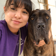 Veronica  C., Babysitter in 34135 with 2 years of paid experience