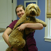 Kaitlyn E., Pet Care Provider in Salem, OR 97304 with 4 years paid experience