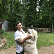 Dustin W., Pet Care Provider in Powhatan, VA 23139 with 7 years paid experience
