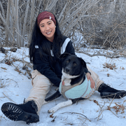 Danielle B., Babysitter in Northridge, CA with 6 years paid experience