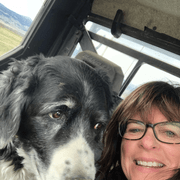 Gwendolyn K., Pet Care Provider in Whitehall, MT with 13 years paid experience