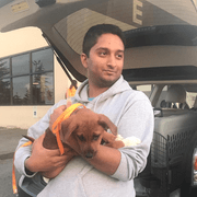 Akshay P., Pet Care Provider in Houghton, WA with 1 year paid experience